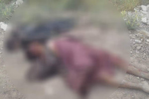 دو هراس افگن طالب درولایت فراه کشته شدند