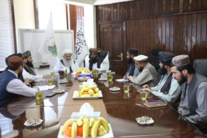 وزارت زراعت بر حفاظت از جنگلهای افغانستان تأکید کرد