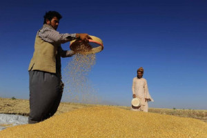 هشدار سازمان ملل در مورد کاهش 30 درصدی تولید ناخالص افغانستان 