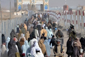 پاکستان نزدیک به ۲۴۰ مهاجر افغان را به کشور برگردانده است