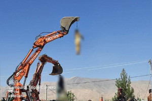 طالبان اجساد دو فرد متهم به سرقت را در هرات به دار آویزان کردند