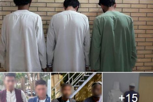 بازداشت ۱۴ تن در پیوند به انجام جرم‌های جنايی از هرات