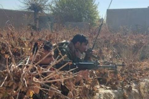 85 طالب مسلح در ولایت قندهار کشته شدند