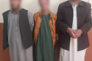 بازداشت سه تن در پیوند به همکاری با طالبان از هرات