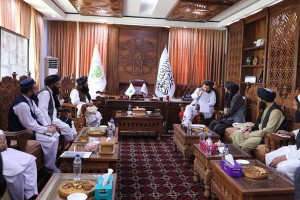 وزارت زراعت از نشستی برای کشت بدیل کوکنار خبر داد