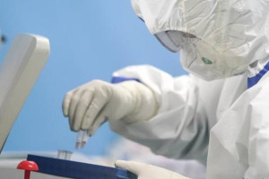 ثبت پنج واقعه تازه ابتلا به ویروس کرونا در هرات و دایکندی