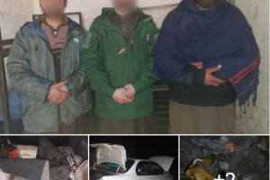 بازداشت ۳ مظنون همراه با دو حلقه ماین مقناطیسی از کابل