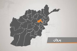  یک فرمانده مشهور طالبان در پروان دستگیر شد
