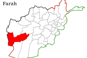 12عضو کلیدی گروه طالبان در هرات و فراه کشته شدند