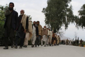 استخبارات طالبان از تسلیمی 50 داعشی در ننگرهار خبر داد