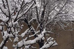 طالبان به مردم: برف بام‌ خانه‌ها را در چاه‌های جذبی ذخیره کنید
