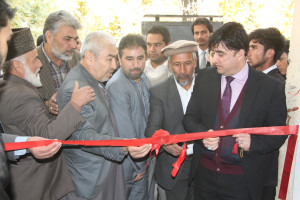 در نهاد های اکادمیک افراد غیر مسلکی به عنوان استاد فعالیت دارند