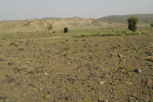 غصب 1.3 میلیون جریب زمین در در افغانستان