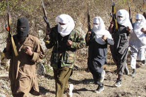 14 طالب مسلح در ولایت های هلمند و پکتیا کشته شدند