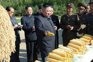 رهبر کره شمالی به مردم: غذا کم‌تر بخورید!