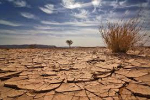 خشکسالی زندگی 50 هزار خانواده بامیانی را تهدید می کند  