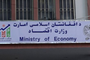 کاهش بودجه یواسایآیدی کمکهای بشردوستانه را متأثر میسازد