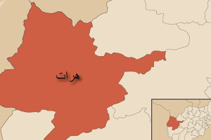 8 عضو کلیدی گروه طالبان در ولایت هرات کشته شدند