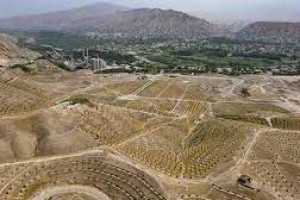 ایجاد باغ ترقی در بغلان با غرس ۳۰ هزار درخت میوه