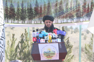 وزارت زراعت: ۱۶ میلیون نهال در کشور غرس میکنیم