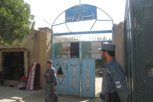 فرمانده پولیس ولسوالی اوبه هرات در انفجار ماین در دفتر کارش زخمی شد