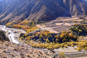 خودکشی دختری ۱۷ ساله در پنجشیر