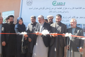 افتتاح فارم مرغ گوشتی ده هزار قطعهٔ در کابل