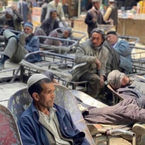 فائو-به-۳۸-درصد-جمعیت-افغانستان-کمک-می‌کند