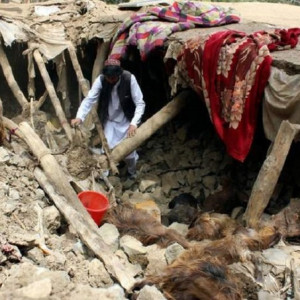 سازمان-ملل-میلیون-دالر-به-زلزله‌زدگان-پکتیکا-و-خوست-کمک-می‌کند