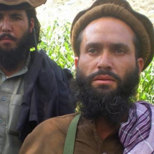 دو-فرمانده-ارشد-طالبان-در-میدان-وردک-هلاک-شدند