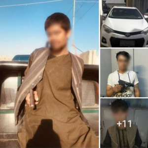بازداشت-۱۳-تن-در-پیوند-به-جرایم-جنائی-از-کابل