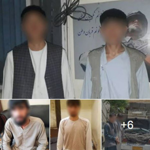 ۱۲-تن-در-پیوند-به-جرایم-جنایی-از-کابل-دستگیر-شدند