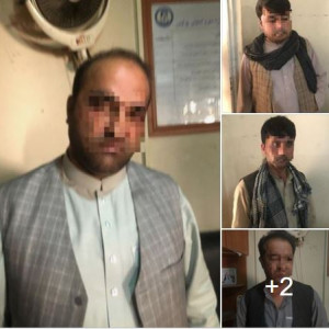 بازداشت-یک-گروه-پنج-نفری-سارقین-حرفوی-در-کابل