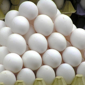قیمت-تخم-مرغ-از-دوازده-به-شش-افغانی-کاهش-یافت