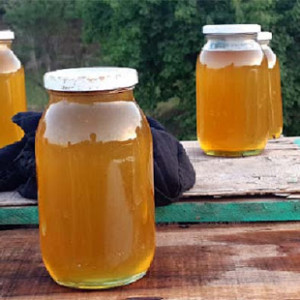 ۵۲-تُن-عسل-امسال-در-بامیان-تولید-می‌شود
