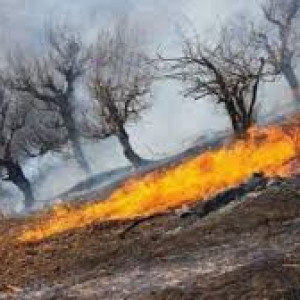 تلاش-برای-مهار-آتش‌‌سوزی-در-جنگل‌های-نورستان-ادامه-دارد