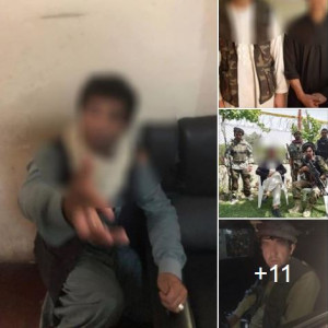دستگیری-گروه-جنایت-پیشه-از-نقاط-مختلف-شهر-کابل
