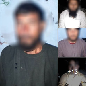 بازداشت-۱۶-تن-در-پیوند-به-همکاری-با-طالبان-و-داعش