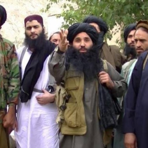 طالبان-از-خواب-زمستانی-به-میدان-جنگ-فراخوانده-شدند