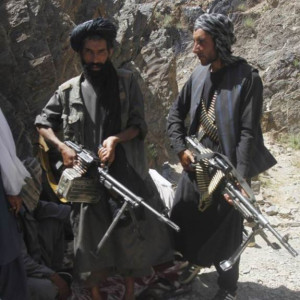 طالبان-مسلح-راس-گوسفند-را-از-سرپل-سرقت-کردند