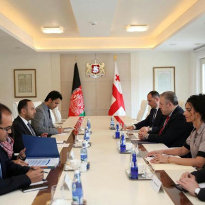 افغانستان-با-جورجیا-کمیسیون-مشترک-همکاری-های-اقتصادی-ایجاد-میکند