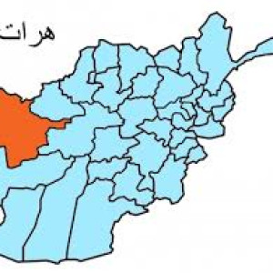حمله-انتحاری-در-هرات-یک-کشته-برجا-گذاشت