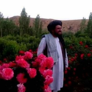 والی-نام-نهاد-طالبان-برای-میدان-وردک-به-قتل-رسید