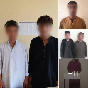 ۱۱-تن-به-اتهام-جرایم-جنایی-از-ولایت-هرات-بازداشت-شدند