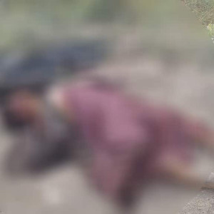 دو-هراس-افگن-طالب-درولایت-فراه-کشته-شدند