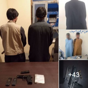 ۳۵-تن-به-ارتکاب-جرایم-جنایی-از-هرات-بازداشت-شدند