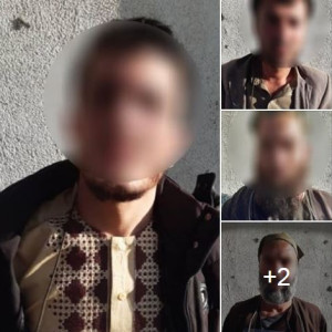 شش-تن-به‌جرم-همکاری-با-طالبان-و-قاچاق-اسلحه-بازداشت-شدند