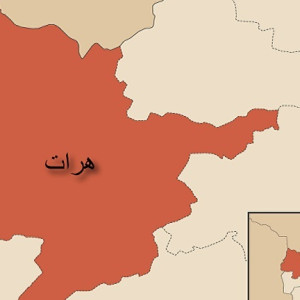 -عضو-کلیدی-گروه-طالبان-در-ولایت-هرات-کشته-شدند