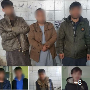 بازداشت-۱۴-تن-در-پیوند-به-جرایم-جنایی-از-شهر-کابل