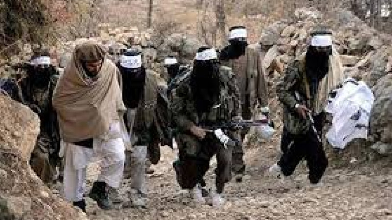 جنگ-شدید-میان-طالبان-و-داعش-در-ننگرهار